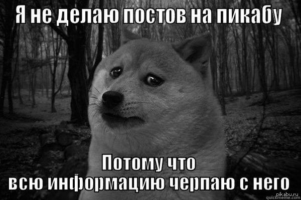 Печальбеда Раз в год и палка стреляет  Sad doge, doge, Пикабу, meme