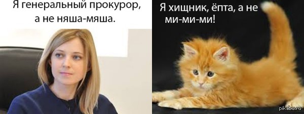 Ну да, ну да... Никто и не спорит.  Наталья Поклонская, кот