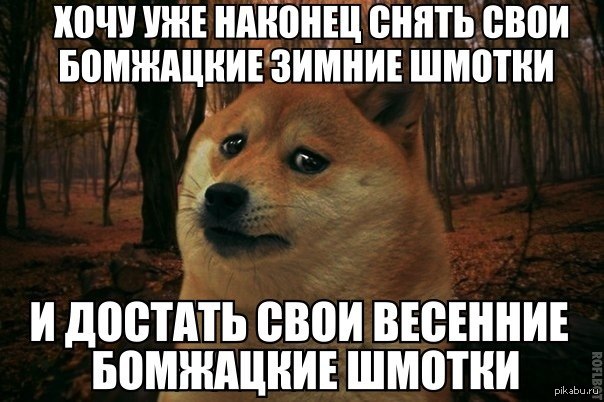 http://s7.pikabu.ru/post_img/big/2014/02/10/9/1392042642_318829496.jpg